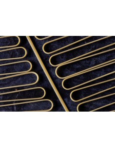 "Spaghetti alla chitarra" with yellow tomatoes, anchovies...