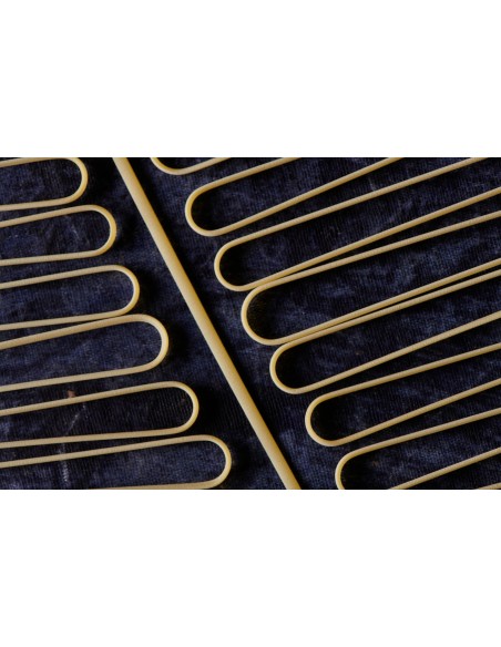 "Spaghetti alla chitarra" with yellow tomatoes, anchovies and almonds form Avola